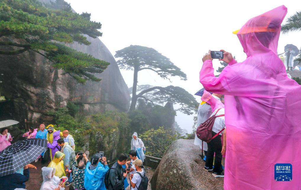 彩金网站免费送
